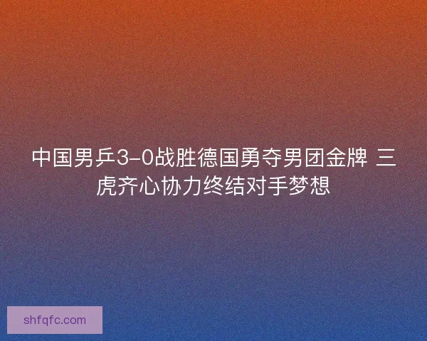 中国男乒3-0战胜德国勇夺男团金牌 三虎齐心协力终结对手梦想